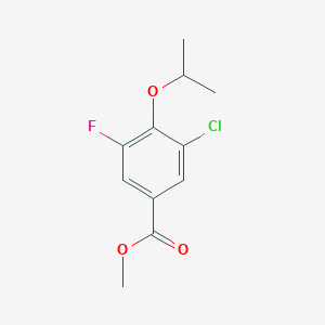 molecular formula C11H12ClFO3 B6290815 Methyl 3-chloro-5-fluoro-4-isopropoxybenzoate CAS No. 2432848-72-9
