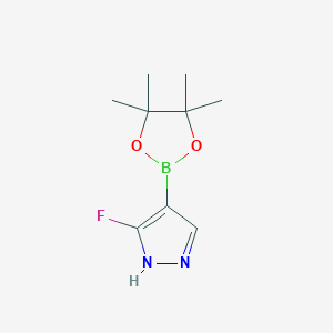 molecular formula C9H14BFN2O2 B6292786 3-氟-4-(4,4,5,5-四甲基-1,3,2-二氧杂硼环-2-基)-1H-吡唑 CAS No. 1983153-03-2