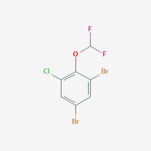 molecular formula C7H3Br2ClF2O B6293243 1,5-Dibromo-3-chloro-2-(difluoromethoxy)benzene CAS No. 2385779-68-8