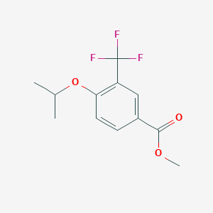 molecular formula C12H13F3O3 B6293736 Methyl 4-isopropoxy-3-(trifluoromethyl)benzoate CAS No. 1401511-01-0