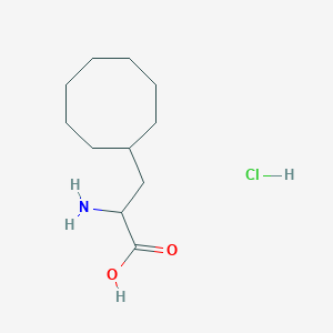 molecular formula C11H22ClNO2 B6295033 2-Amino-3-cyclooctyl-propanoic acid hydrochloride CAS No. 190905-78-3