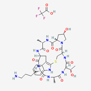 molecular formula C37H50F3N9O11S B6295650 (Lys7)-Phalloidin Trifluoroacetate CAS No. 1393889-01-4