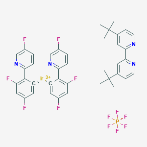 B6296040 [4,4'-Bis(1,1-dimethylethyl)-2,2'-bipyridine]bis[3,5-difluoro-2-(5-fluoro-2-pyridinyl)phenyl]iridium hexafluorophosphate, 98% CAS No. 2042201-18-1