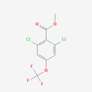 molecular formula C9H5Cl2F3O3 B6296274 Methyl 2,6-dichloro-4-(trifluoromethoxy)benzoate CAS No. 2221812-05-9