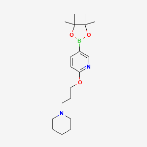 molecular formula C19H31BN2O3 B6296976 2-(3-(Piperidin-1-yl)propoxy)-5-(4,4,5,5-tetramethyl-1,3,2-dioxaborolan-2-yl)pyridine CAS No. 2089288-34-4