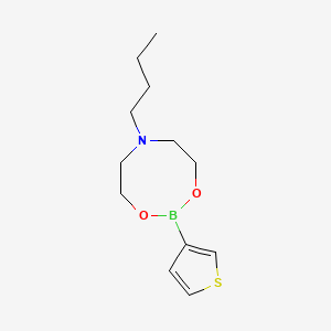 molecular formula C12H20BNO2S B6297391 6-Butyl-2-(3-thienyl)-1,3,6,2-dioxazaborocane CAS No. 1379794-75-8
