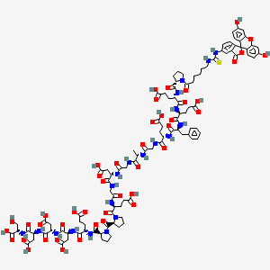 FITC-eAhx-Pro-Glu-Glu-Phe-Glu-Gly-Ala-Gly-Asp-Gly-Glu-Pro-Pro-Glu-Asp-Asp-Asp-Ser-OH
