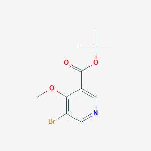 molecular formula C11H14BrNO3 B6298742 t-Butyl 5-bromo-4-methoxynicotinate CAS No. 2225879-35-4