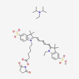 molecular formula C45H62N4O10S2 B6298743 Cy5 N-succinimidyl ester DIPEA Salt (1:1), 95% CAS No. 1033006-65-3