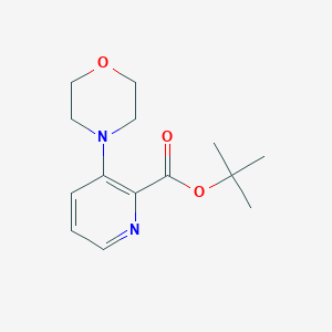 molecular formula C14H20N2O3 B6298929 3-Morpholin-4-yl-pyridine-2-carboxylic acid tert-butyl ester CAS No. 2368871-57-0