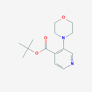 3-Morpholin-4-yl-isonicotinic acid tert-butyl ester