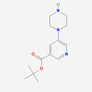 molecular formula C14H21N3O2 B6298988 5-Piperazin-1-yl-nicotinic acid tert-butyl ester CAS No. 2368872-04-0