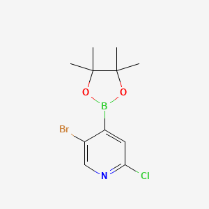 molecular formula C11H14BBrClNO2 B6299451 5-Bromo-2-chloropyridine-4-boronic acid, pinacol ester CAS No. 2121514-81-4