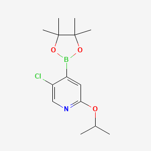 molecular formula C14H21BClNO3 B6299500 5-氯-2-异丙氧基吡啶-4-硼酸频哪醇酯 CAS No. 2121513-31-1