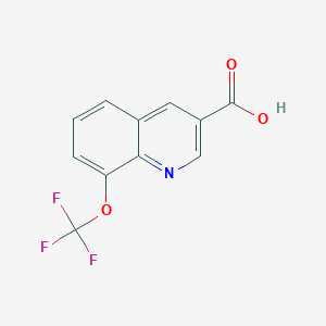 molecular formula C11H6F3NO3 B6300036 8-(Trifluoromethoxy)quinoline-3-carboxylic acid CAS No. 2002472-85-5