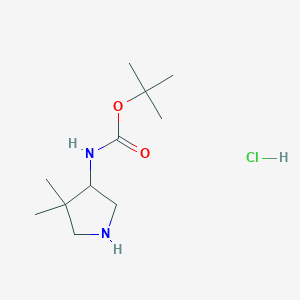 molecular formula C11H23ClN2O2 B6301044 (4,4-Dimethyl-pyrrolidin-3-yl)-carbamic acid t-butyl ester hydrochloride CAS No. 2097068-47-6