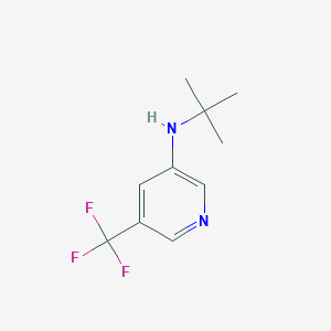 molecular formula C10H13F3N2 B6301150 N-t-Butyl-5-(trifluoromethyl)pyridin-3-amine CAS No. 2173992-34-0