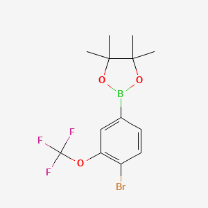 molecular formula C13H15BBrF3O3 B6301207 4-Bromo-3-(trifluoromethoxy)phenylboronic acid pinacol ester CAS No. 2121511-78-0
