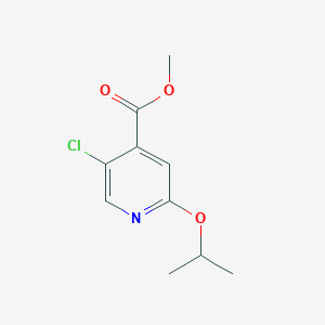 molecular formula C10H12ClNO3 B6301240 Methyl 5-chloro-2-(propan-2-yloxy)pyridine-4-carboxylate CAS No. 2121515-27-1