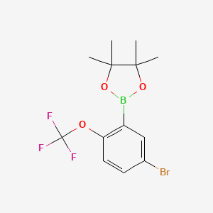 molecular formula C13H15BBrF3O3 B6301268 5-Bromo-2-trifluoromethoxyphenylboronic acid pinacol ester CAS No. 2121515-02-2