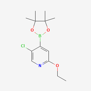 molecular formula C13H19BClNO3 B6301376 5-Chloro-2-ethoxypyridine-4-boronic acid pinacol ester CAS No. 2121513-05-9