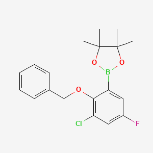 molecular formula C19H21BClFO3 B6301389 2-Benzyloxy-3-chloro-5-fluorophenylboronic acid pinacol ester CAS No. 2121512-22-7