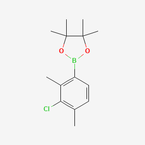 molecular formula C14H20BClO2 B6301502 3-Chloro-2,4-dimethylphenylboronic acid pinacol ester CAS No. 2121513-78-6