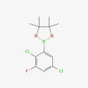 molecular formula C12H14BCl2FO2 B6302304 2,5-Dichloro-3-fluorophenylboronic acid pinacol ester CAS No. 2121515-31-7