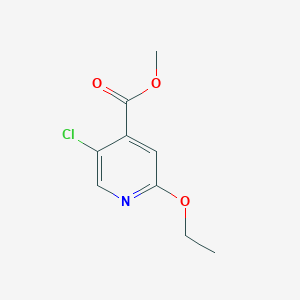 molecular formula C9H10ClNO3 B6303945 Methyl 5-chloro-2-ethoxypyridine-4-carboxylate CAS No. 2056110-54-2
