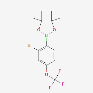 molecular formula C13H15BBrF3O3 B6304075 2-Bromo-4-(trifluoromethoxy)phenylboronic acid pinacol ester CAS No. 2121514-01-8