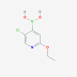 molecular formula C7H9BClNO3 B6304247 5-Chloro-2-ethoxypyridine-4-boronic acid CAS No. 1882041-03-3