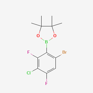 molecular formula C12H13BBrClF2O2 B6304315 6-溴-3-氯-2,4-二氟苯基硼酸频哪醇酯 CAS No. 2121515-01-1