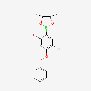 molecular formula C19H21BClFO3 B6304328 4-Benzyloxy-5-chloro-2-fluorophenylboronic acid pinacol ester CAS No. 2121514-89-2