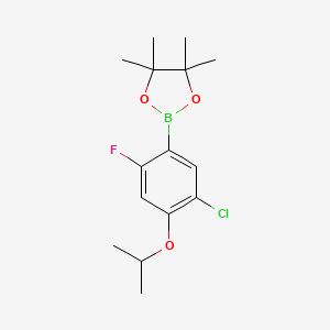 molecular formula C15H21BClFO3 B6304363 5-氯-2-氟-4-异丙氧基苯基硼酸二茂环己酯 CAS No. 2121513-71-9