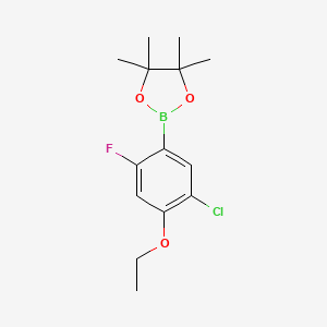 molecular formula C14H19BClFO3 B6304406 5-Chloro-4-ethoxy-2-fluorophenylboronic acid pinacol ester CAS No. 2121513-68-4