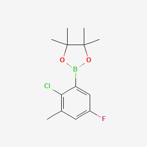 molecular formula C13H17BClFO2 B6304414 2-氯-5-氟-3-甲基苯基硼酸二缩水甘油酯 CAS No. 2121512-19-2