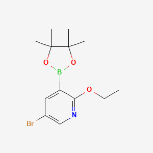 molecular formula C13H19BBrNO3 B6304417 5-Bromo-2-ethoxypyridine-3-boronic acid pinacol ester CAS No. 2121514-85-8