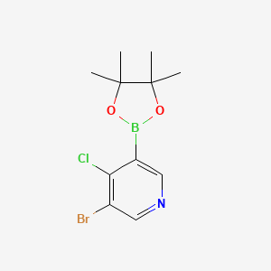 molecular formula C11H14BBrClNO2 B6304442 5-Bromo-4-chloropyridine-3-boronic acid pinacol ester CAS No. 2121514-13-2