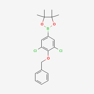 molecular formula C19H21BCl2O3 B6304598 4-Benzyloxy-3,5-dichlorophenylboronic acid pinacol ester CAS No. 2121512-17-0