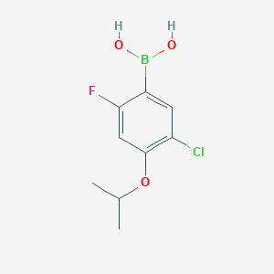 molecular formula C9H11BClFO3 B6304605 5-Chloro-2-fluoro-4-isopropoxyphenylboronic acid CAS No. 2121511-67-7