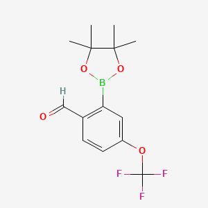 molecular formula C14H16BF3O4 B6307144 2-Formyl-5-(trifluoromethoxy)phenylboronic acid pinacol ester CAS No. 2121513-88-8