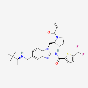 molecular formula C28H35F2N5O2S B6307975 5-(Difluoromethyl)-N-[5-({[(2S)-3,3-dimethylbutan-2-yl]amino}methyl)-1-{[(2S)-1-(prop-2-enoyl)pyrrolidin-2-yl]methyl}-1H-1,3-benzodiazol-2-yl]thiophene-2-carboxamide CAS No. 2227198-84-5