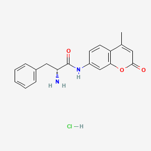 molecular formula C19H19ClN2O3 B6309186 H-D-Phe-AMC hydrochloride CAS No. 1998700-96-1