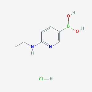 molecular formula C7H12BClN2O2 B6310002 6-(Ethylamino)pyridine-3-boronic acid hydrochloride CAS No. 2096330-99-1