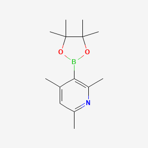 molecular formula C14H22BNO2 B6310093 2,4,6-Trimethylpyridine-3-boronic acid pinacol ester CAS No. 2096331-29-0