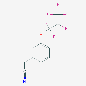 molecular formula C11H7F6NO B6310819 3-(1,1,2,3,3,3-Hexafluoropropoxy)benzonitrile CAS No. 2088943-26-2