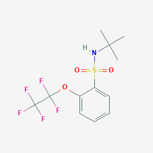 B6311855 2-Pentafluoroethoxy-N-tert-butyl-benzesulfonamide CAS No. 1357626-19-7