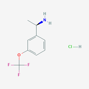 (1R)-1-[3-(Trifluoromethoxy)phenyl]ethan-1-amine hydrochloride