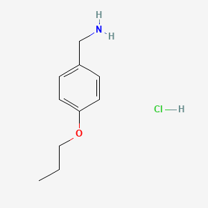 molecular formula C10H16ClNO B6316714 (4-Propoxybenzyl)amine hydrochloride CAS No. 59528-26-6