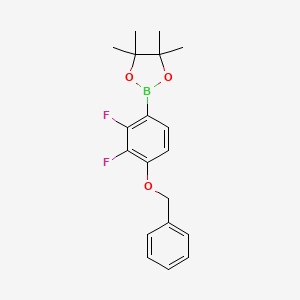 molecular formula C19H21BF2O3 B6319339 4-(Benzyloxy)-2,3-difluorophenylboronic acid pinacol ester CAS No. 2121515-12-4
